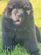 Превью фото № 249088