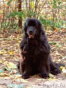 Превью фото № 249118