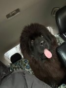 Превью фото № 249123