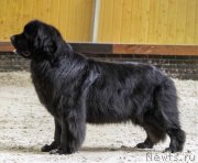 Превью фото № 249127