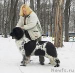 Превью фото № 24969