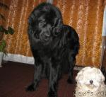 Превью фото № 25149