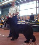 Превью фото № 25285