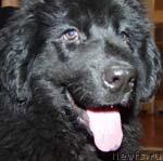 Превью фото № 2541