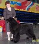 Превью фото № 25784