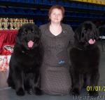 Превью фото № 25785