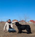 Превью фото № 25915