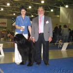 Превью фото № 2603