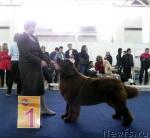 Превью фото № 26125