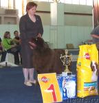 Превью фото № 26181