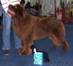 Превью фото № 26186