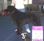 Превью фото № 26188