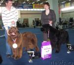 Превью фото № 26191