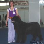 Превью фото № 26283