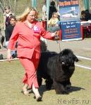 Превью фото № 26659