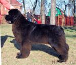 Превью фото № 26663