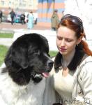 Превью фото № 26666