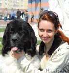 Превью фото № 26671