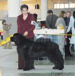 Превью фото № 26675