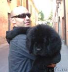 Превью фото № 26814