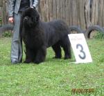 Превью фото № 26885