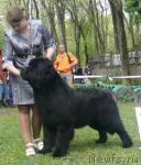 Превью фото № 26895