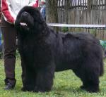 Превью фото № 26903