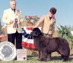 Превью фото № 2697