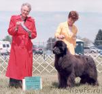 Превью фото № 2698