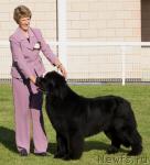 Превью фото № 2721