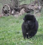 Превью фото № 27247