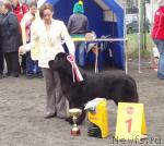 Превью фото № 27501