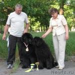 Превью фото № 27515