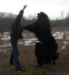 Превью фото № 27583