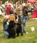 Превью фото № 27760