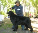 Превью фото № 27765