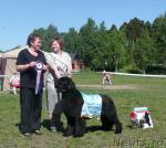 Превью фото № 27931