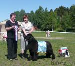 Превью фото № 27932