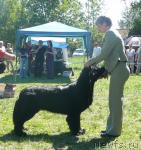 Превью фото № 27934