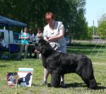 Превью фото № 27942