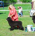 Превью фото № 28079