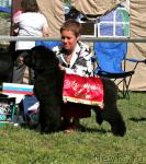 Превью фото № 28229