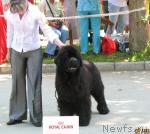 Превью фото № 28305