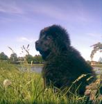 Превью фото № 28360