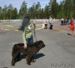 Превью фото № 28400