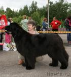Превью фото № 28570