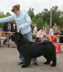 Превью фото № 28588