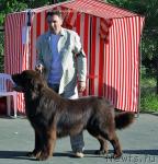 Превью фото № 28870