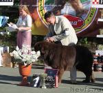 Превью фото № 28872