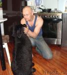 Превью фото № 28935